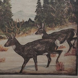 Meet your Posher, Cory